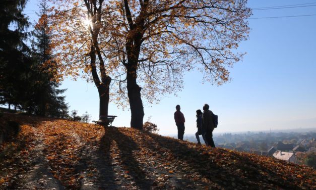 Őszi szakmai tábor és 30+1 jubileum
