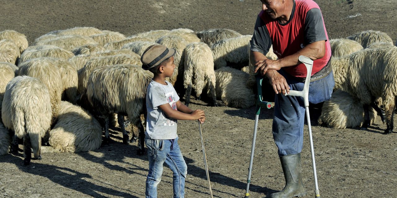 A Brassai sajtófotó-pályázat díjazott alkotói
