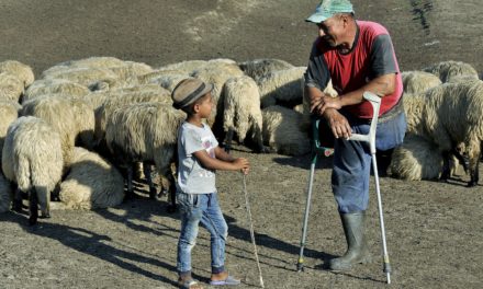 A Brassai sajtófotó-pályázat díjazott alkotói