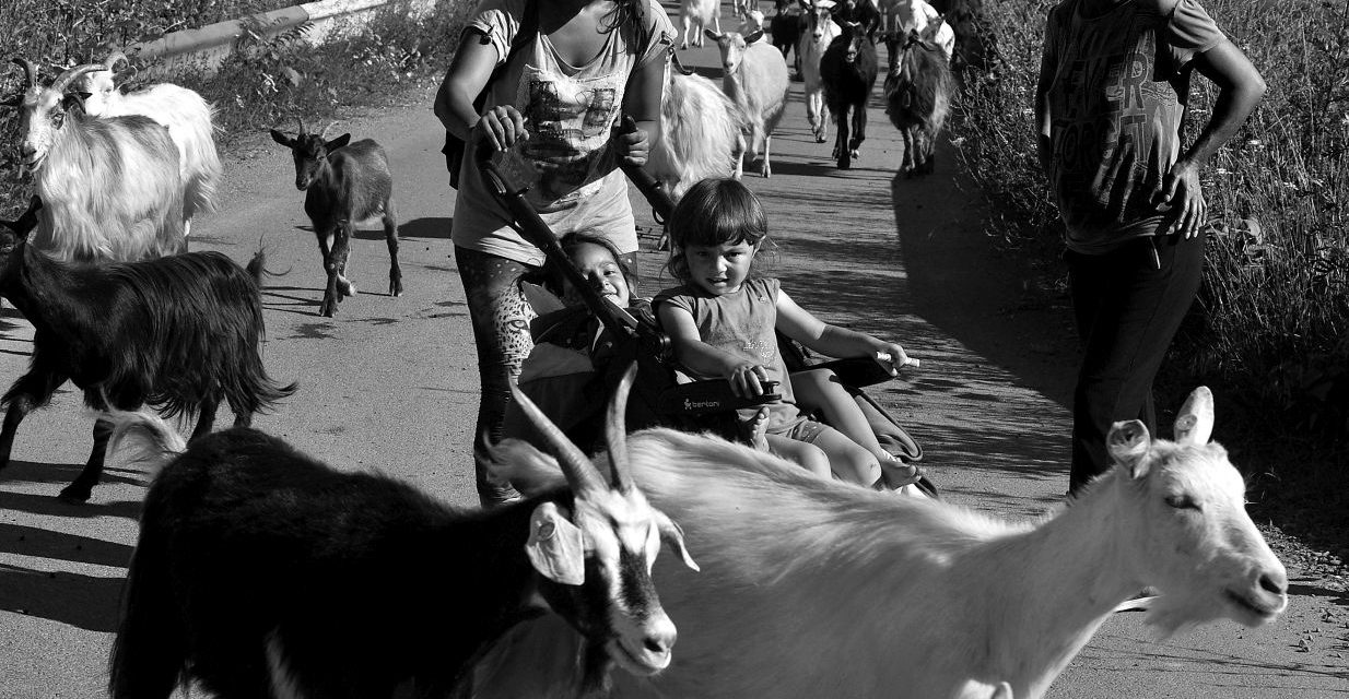 Brassai fotópályázat 4.: Kerekes István szociofotói