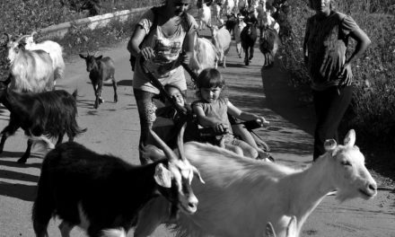 Brassai fotópályázat 4.: Kerekes István szociofotói