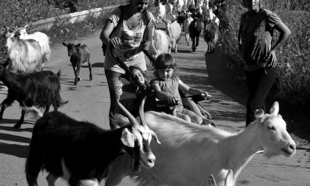 Brassai fotópályázat 4.: Kerekes István szociofotói