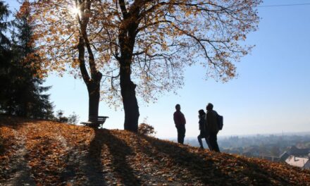 Közgyűlési összehívó