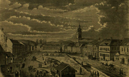 Riporttábort szervezünk Máramarosszigeten